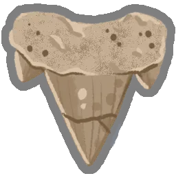 Archaic Tooth