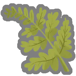 Delicate Frond